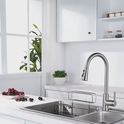 Stainless Steel Pull-Out Faucet